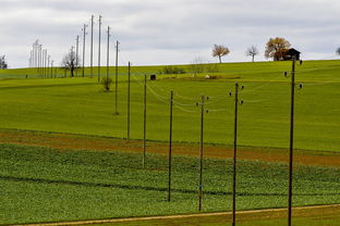 爱游戏在线登录入口-球员体能负荷评估工具上线助力教练科学制定训练计划，体育负荷强度